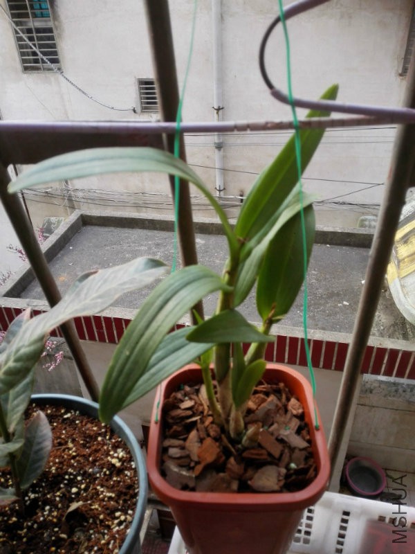 QQ图片20160229084630.jpg