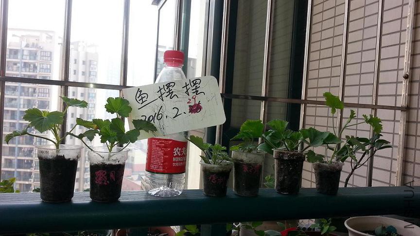 20160229_103303.jpg