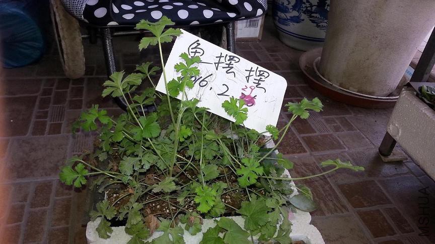20160229_104609.jpg