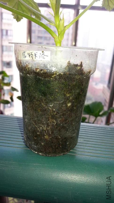 20160229_103409.jpg