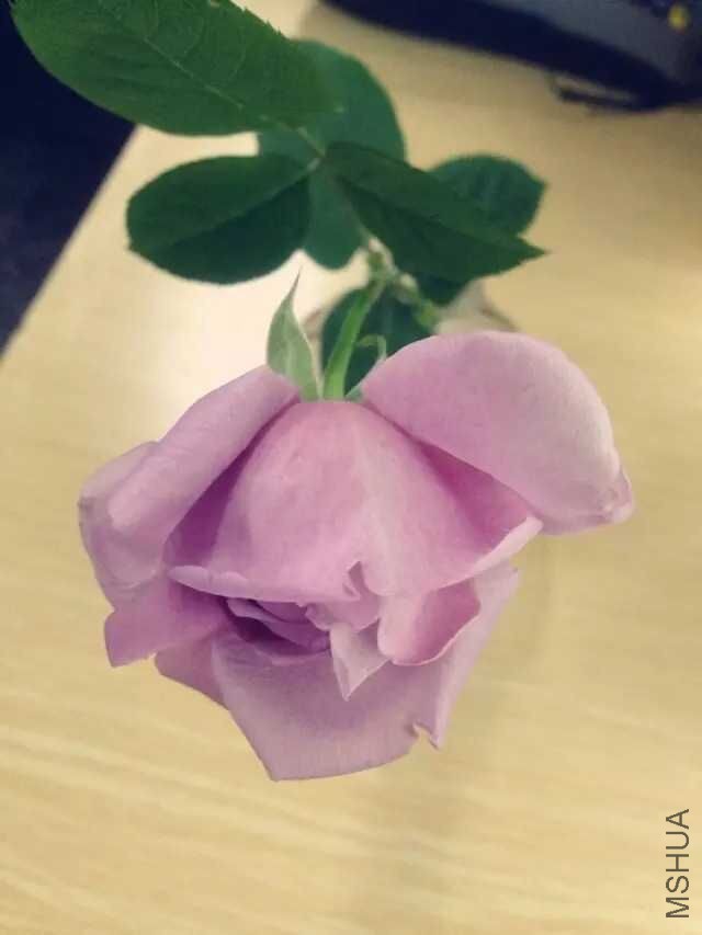 QQͼƬ20160229151059.jpg