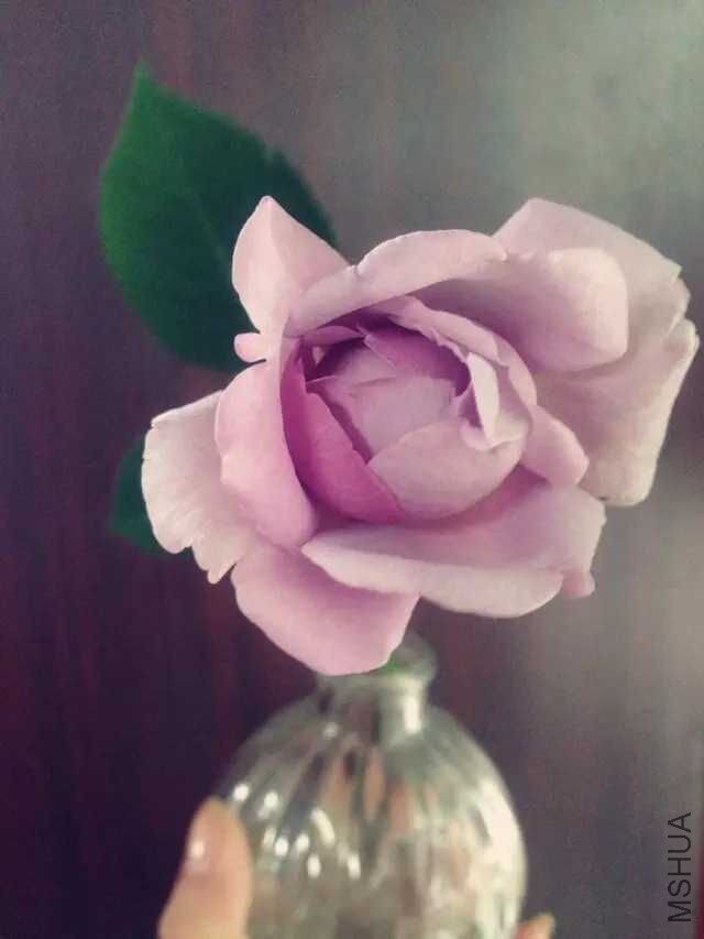 QQͼƬ20160229151108.jpg