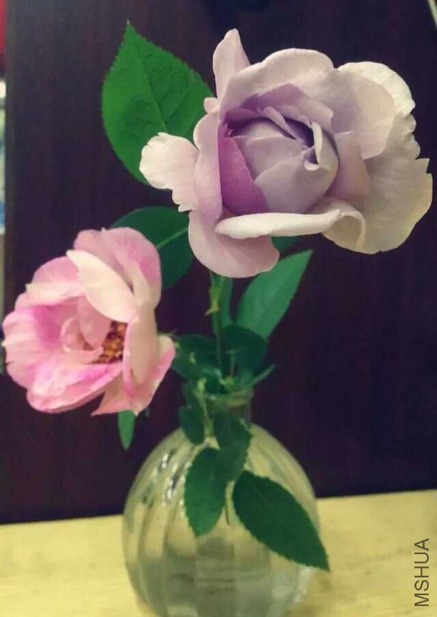 QQͼƬ20160229151118.jpg