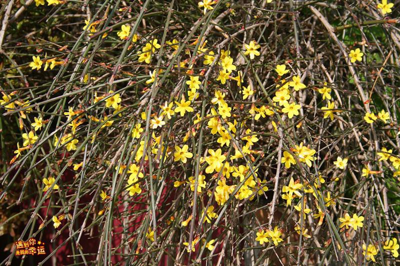 ��Ƭ 035_����.jpg