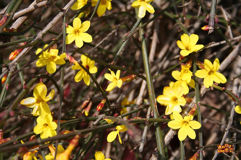 ��Ƭ 037_����.jpg