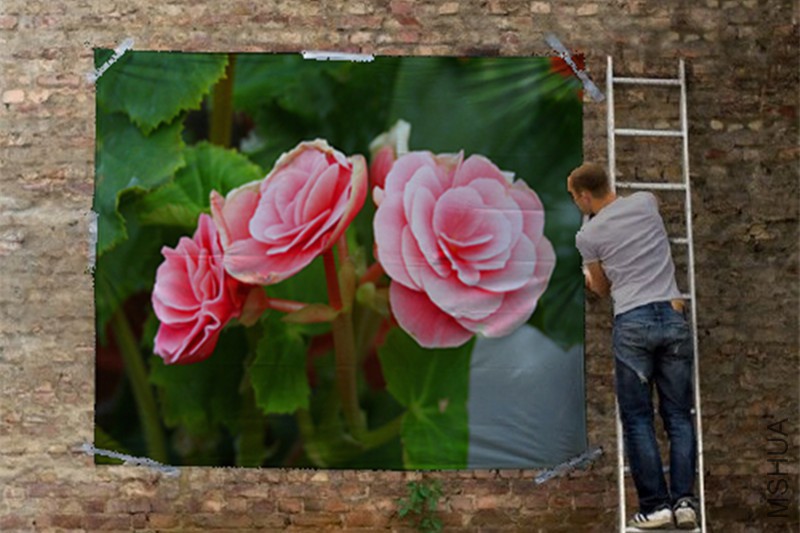 ��Ƭ 082_����_����.jpg