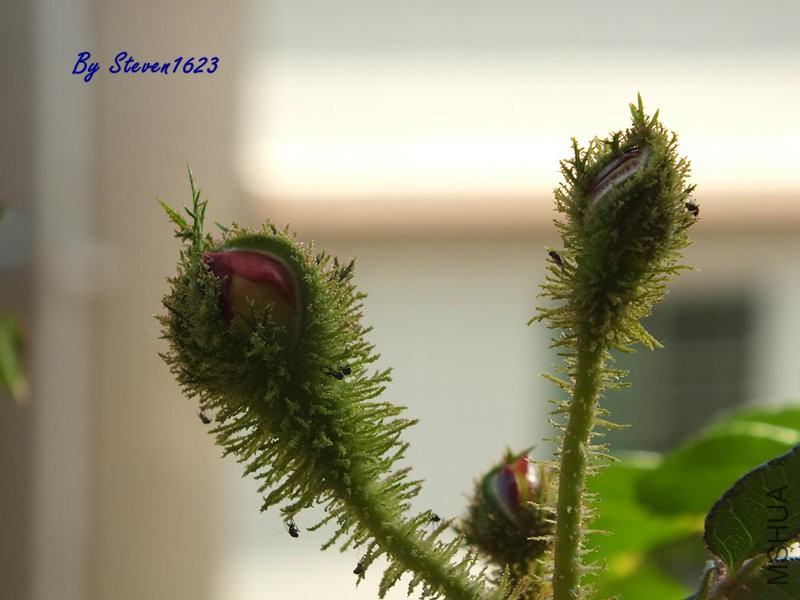 DSCF9535.JPG