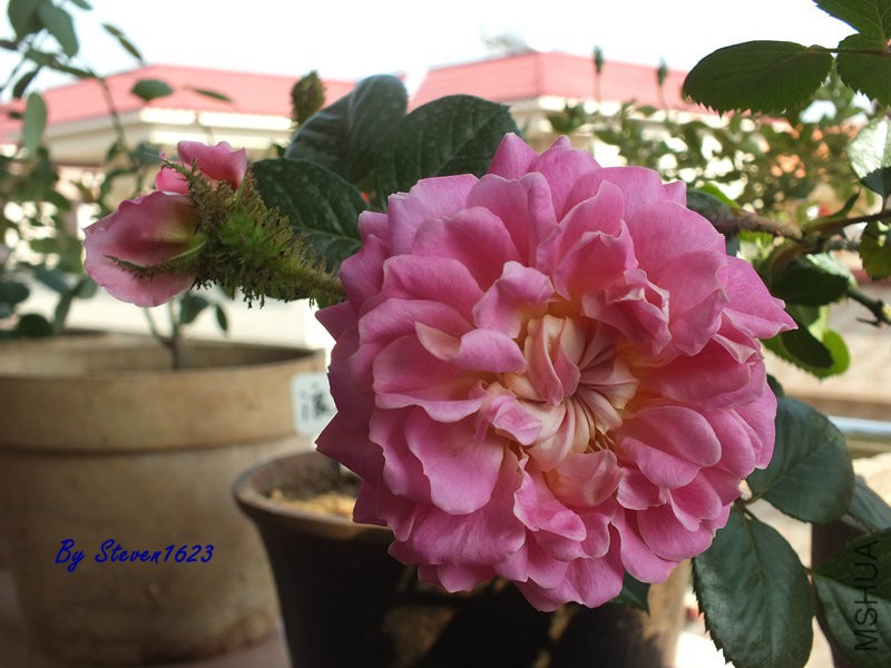 DSCF9537.JPG