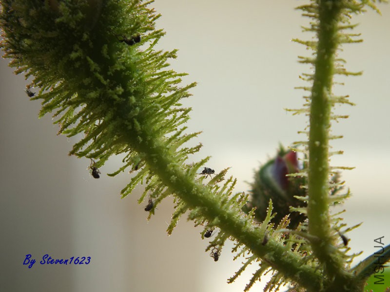 DSCF9540.JPG