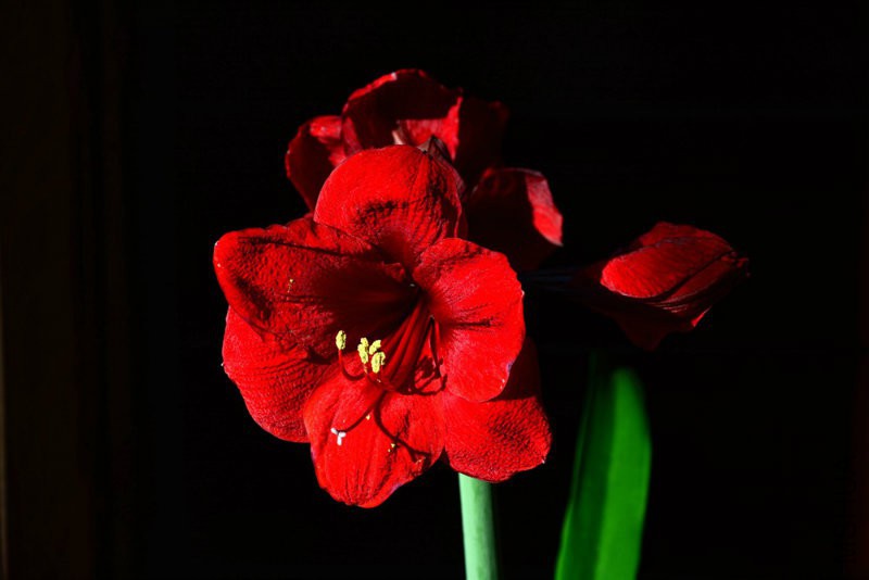 DSC_5881.jpg