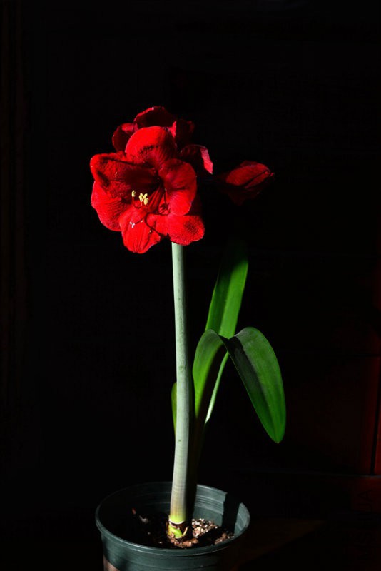 DSC_5890.jpg