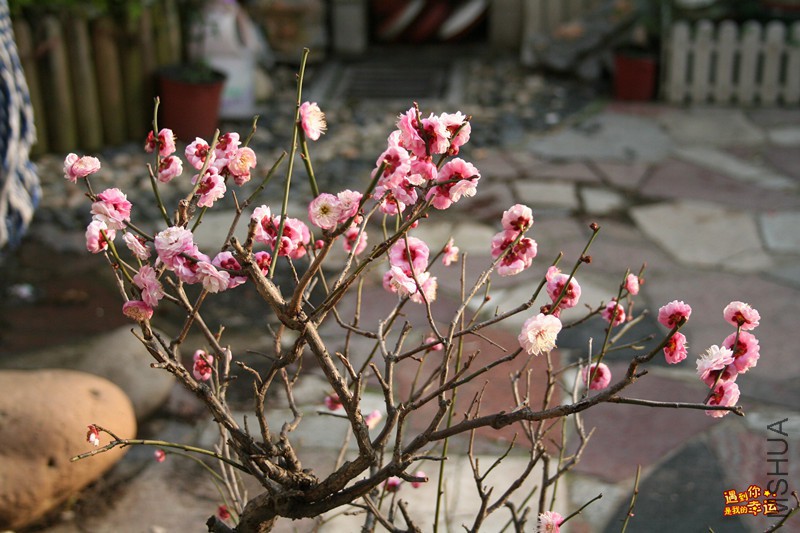 ��Ƭ 007_����.jpg