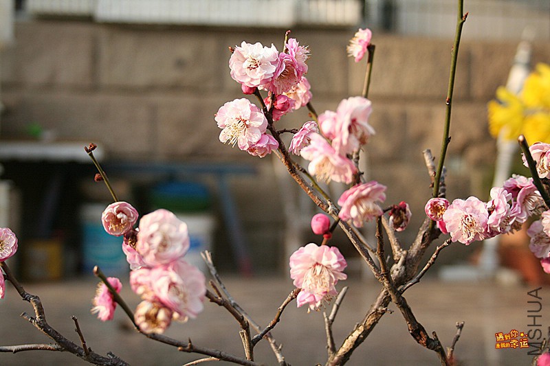 ��Ƭ 008_����.jpg