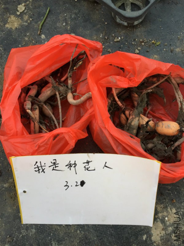 混色.JPG