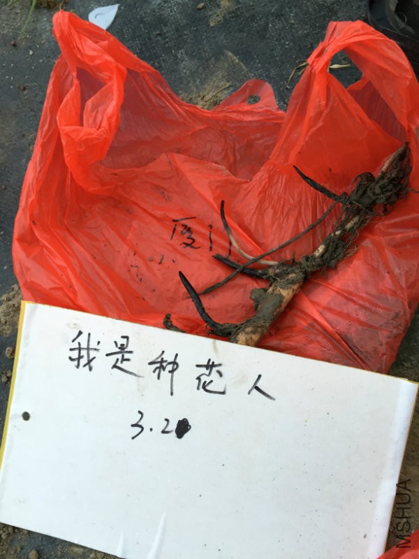厦门.JPG