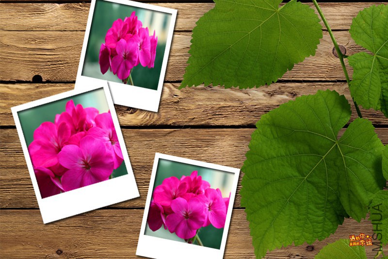 ��Ƭ 036_����.jpg