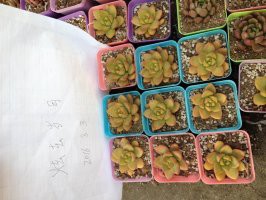 6�������һ���2.5