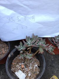 ������12�������ң�10