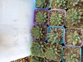 ������6����2.5