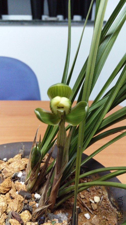 IMAG0292.jpg