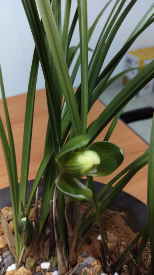 IMAG0297.jpg