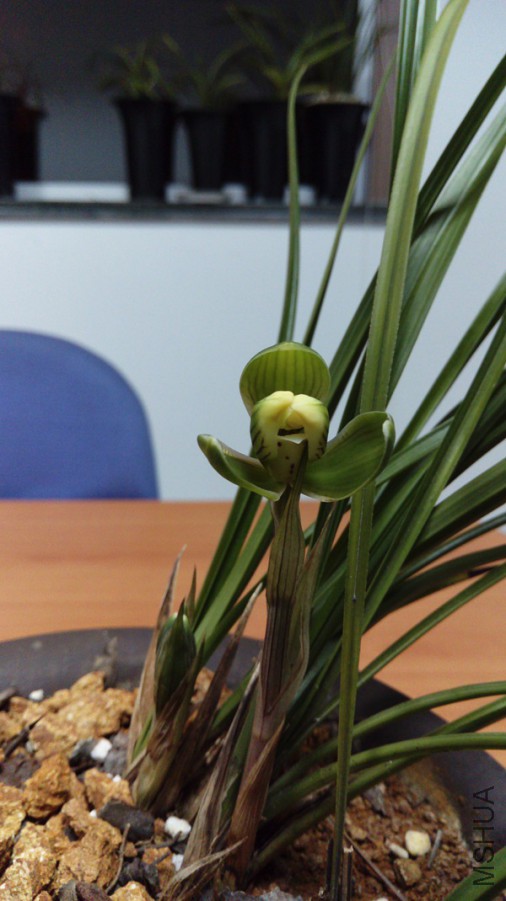 IMAG0291.jpg