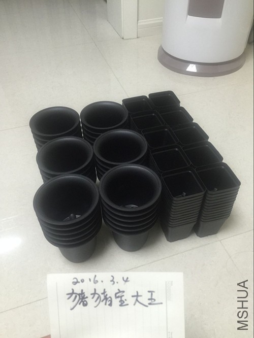 33E16C092CC9A0E1D9E1083B519E9113_����.jpg