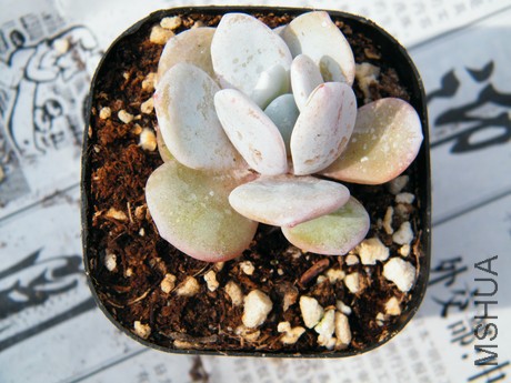 DSCF8107.JPG