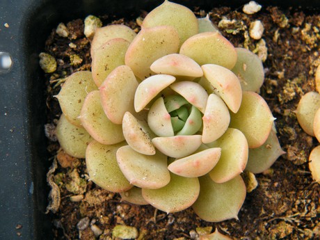 DSCF8164.JPG