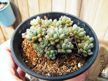 DSCF8071.JPG