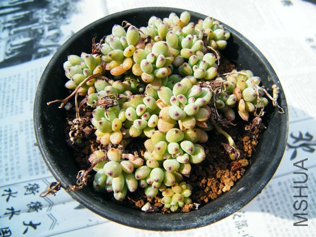 DSCF8072.JPG