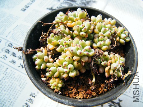 DSCF8073.JPG