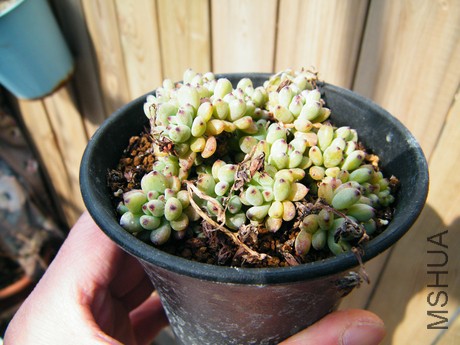 DSCF8074.JPG