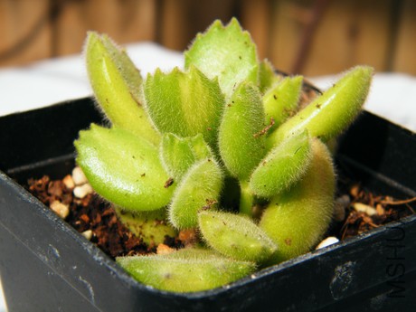 DSCF8077.JPG