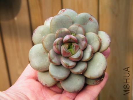 DSCF8248.JPG