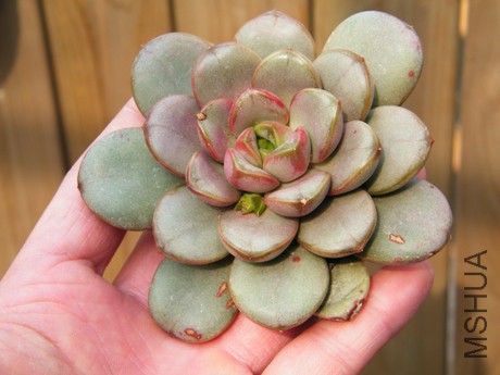 DSCF8242.JPG