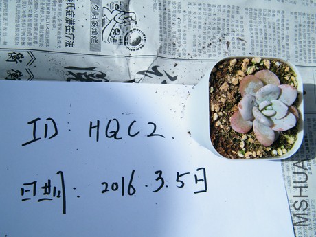 DSCF8319.JPG