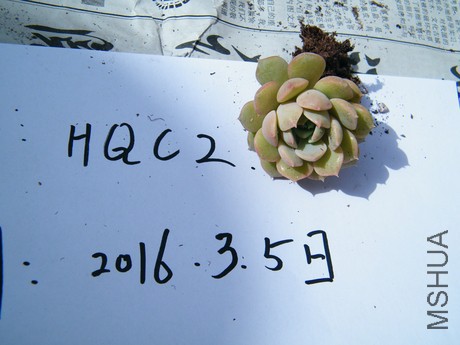 DSCF8318.JPG