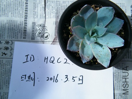DSCF8307.JPG