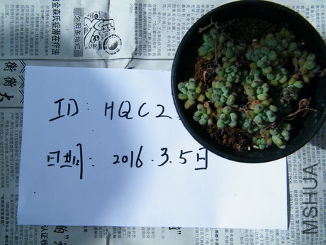 DSCF8309.JPG