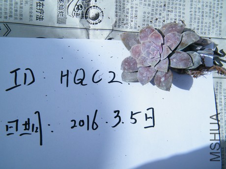 DSCF8315.JPG