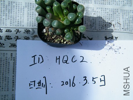 DSCF8317.JPG
