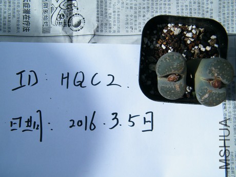 DSCF8312.JPG