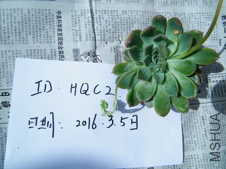 DSCF8323.JPG