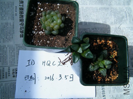 DSCF8328.JPG