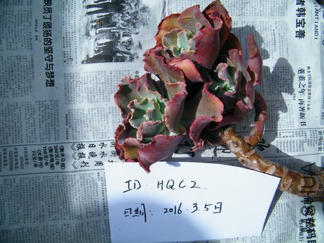 DSCF8320.JPG