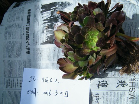 DSCF8325.JPG