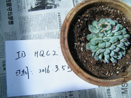 DSCF8326.JPG