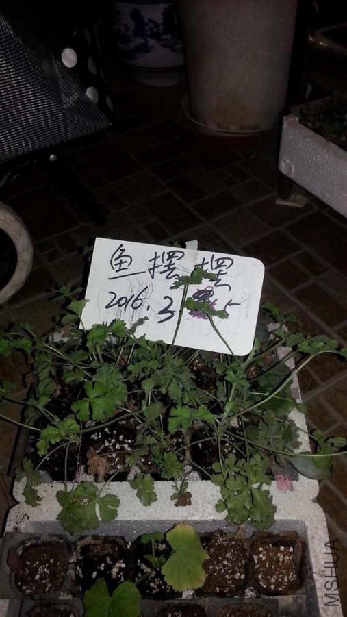 20160305_205511.jpg