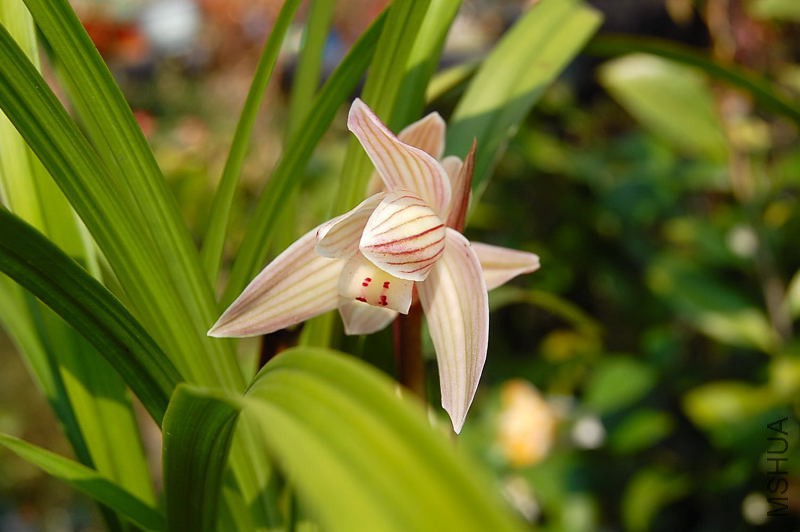 DSC_72520243.JPG